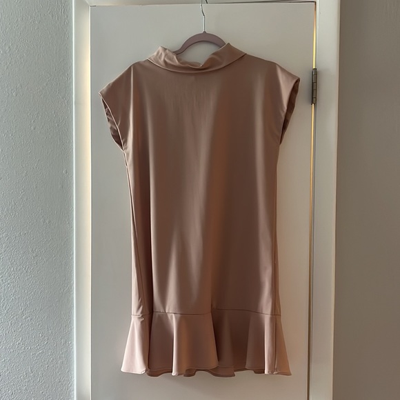 Zara pink dress - Picture 3 of 3